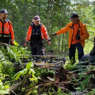 Three men in orange jackets exploring a forest path with a metal basket.