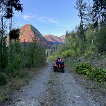 Person riding ATV on a forest trail.