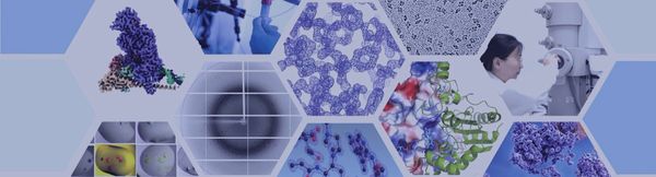 drug target recombinant protein, recombinant proteins expression and purification
