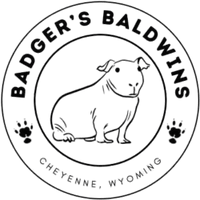 Badgers Baldwins