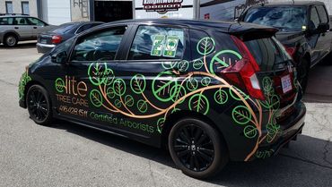 Black Honda car with green and brown tree-themed decals advertising Elite Tree Care.