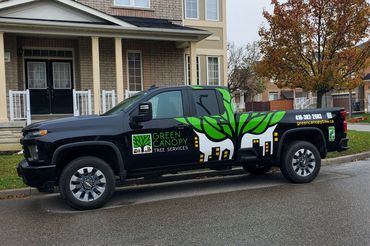 Black Chevrolet truck with Green Canopy Tree Services branding and contact info.