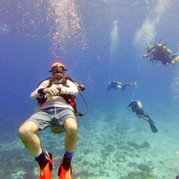 Group of scuba divers exploring underwater.