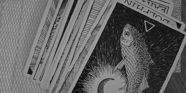 Animal Spirit Deck by Kim Kranz