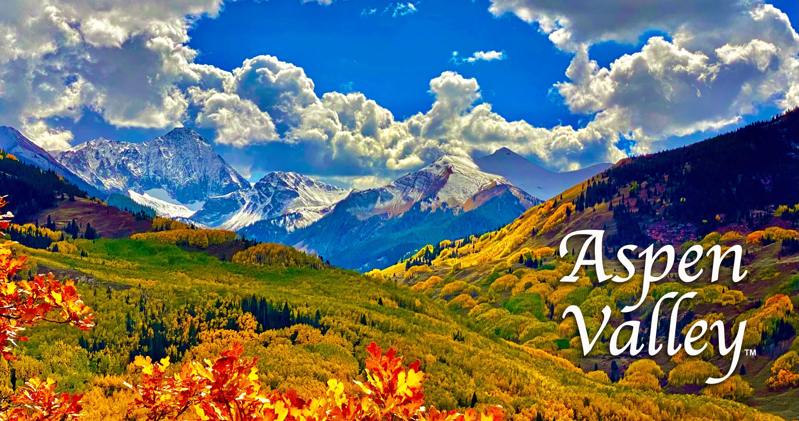 Aspen Valley Films