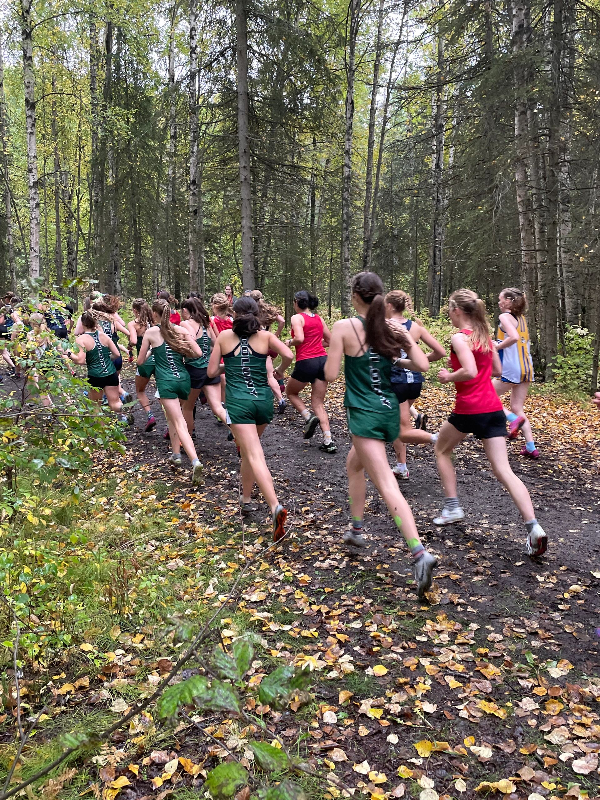 High Runner