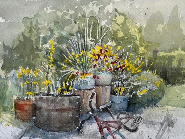 Our little garden , 2026
