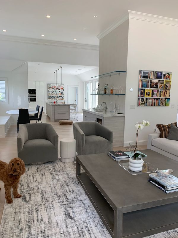 Modern living room with gray furniture and a small dog on a patterned rug.