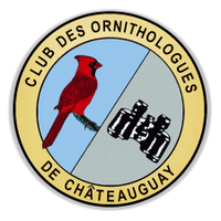 Club des ornithologues
de Châteauguay