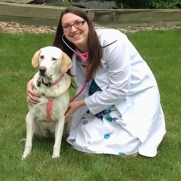 A woman in a white coat with a stethoscope examines a dog outdoors.