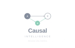 Causal Intelligence 