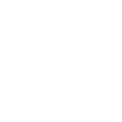 Moon Goons