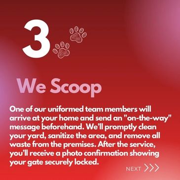 dog poop removal near me
pooper scooper service
pet waste cleanup
