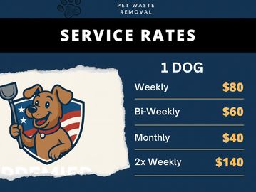 how to keep your yard clean with dogs
benefits of hiring a dog waste removal service
pet waste remov