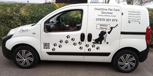 Van with dog decals, showing side load door.
