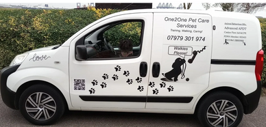 Pet Transportation van