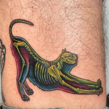 Tattoo of a stretching cat showing its skeleton in vibrant colors.