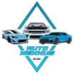 Auto Nexxus Detailing