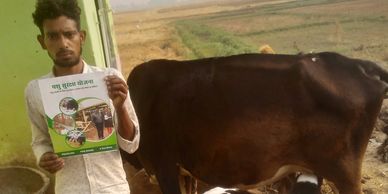 Introduction to Dairy Farming in Bihar #Pashu Suraksha Yojana Introduction to Dairy Farming in Bihar #Pashu Suraksha Yojana