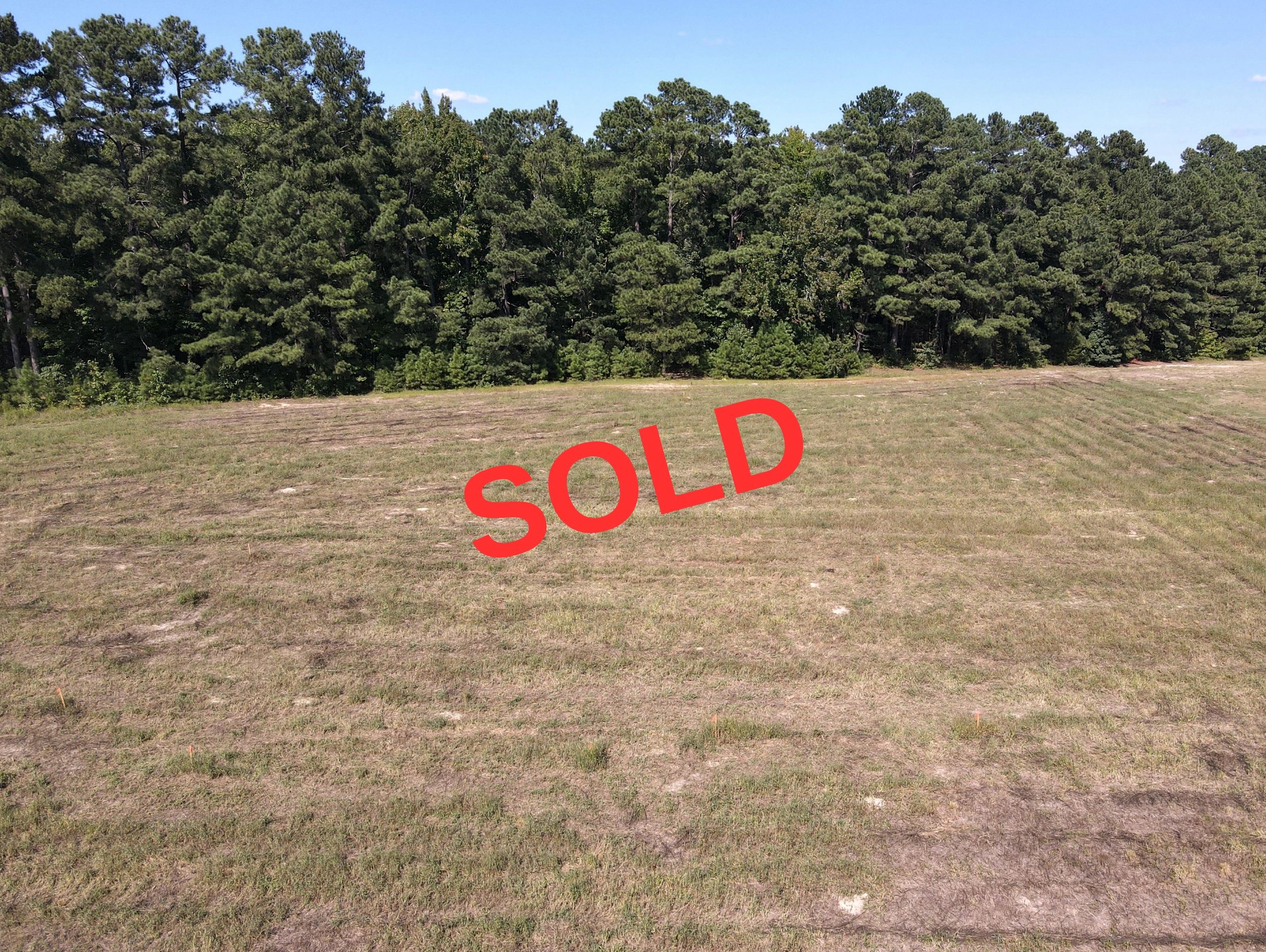 Forestry with cleared lot in front. Red sold sign.