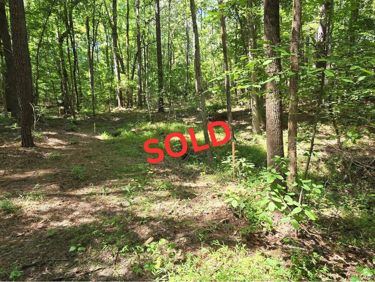 Large trees in a forest. Red SOLD sign.