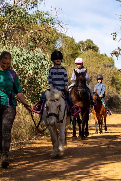 Trail Rides Green Gables Stables