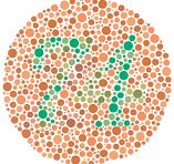 Color vision screening test