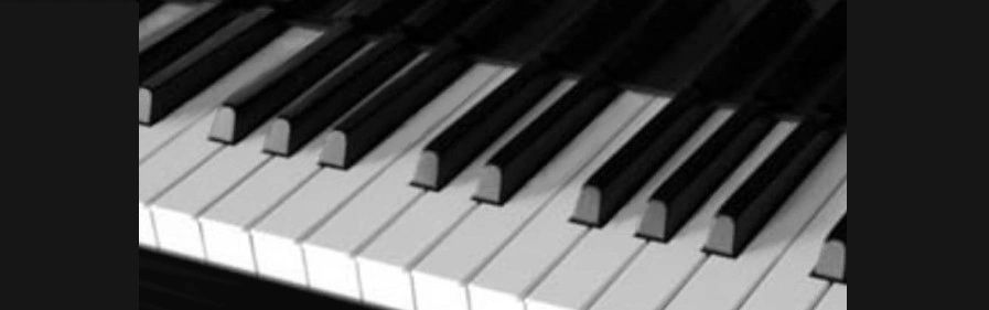 Davids Piano Service