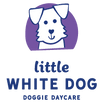 Little White Dog Doggie Daycare