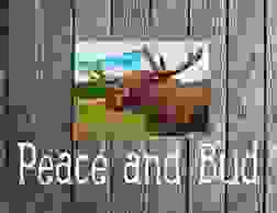 image22