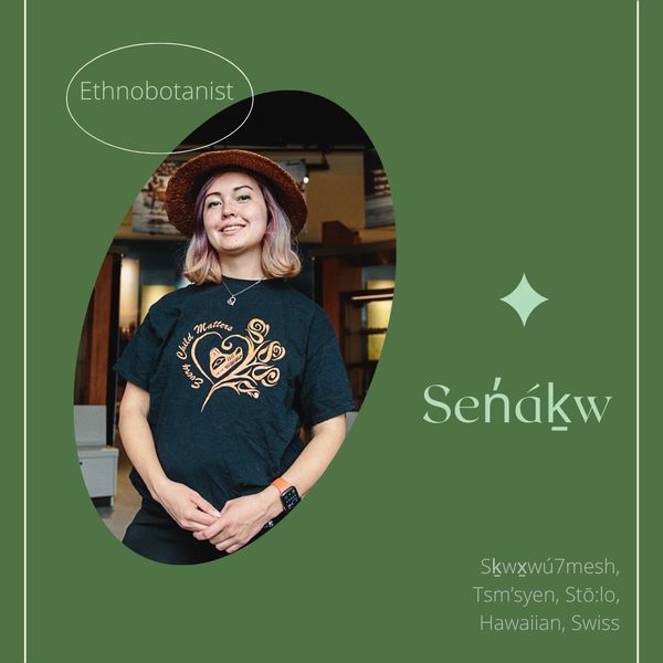 Senaqwila wyss indigenous tea company 