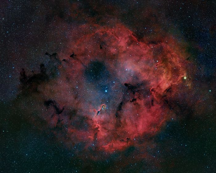 THE ELEPHANT'S TRUNK NEBULA 