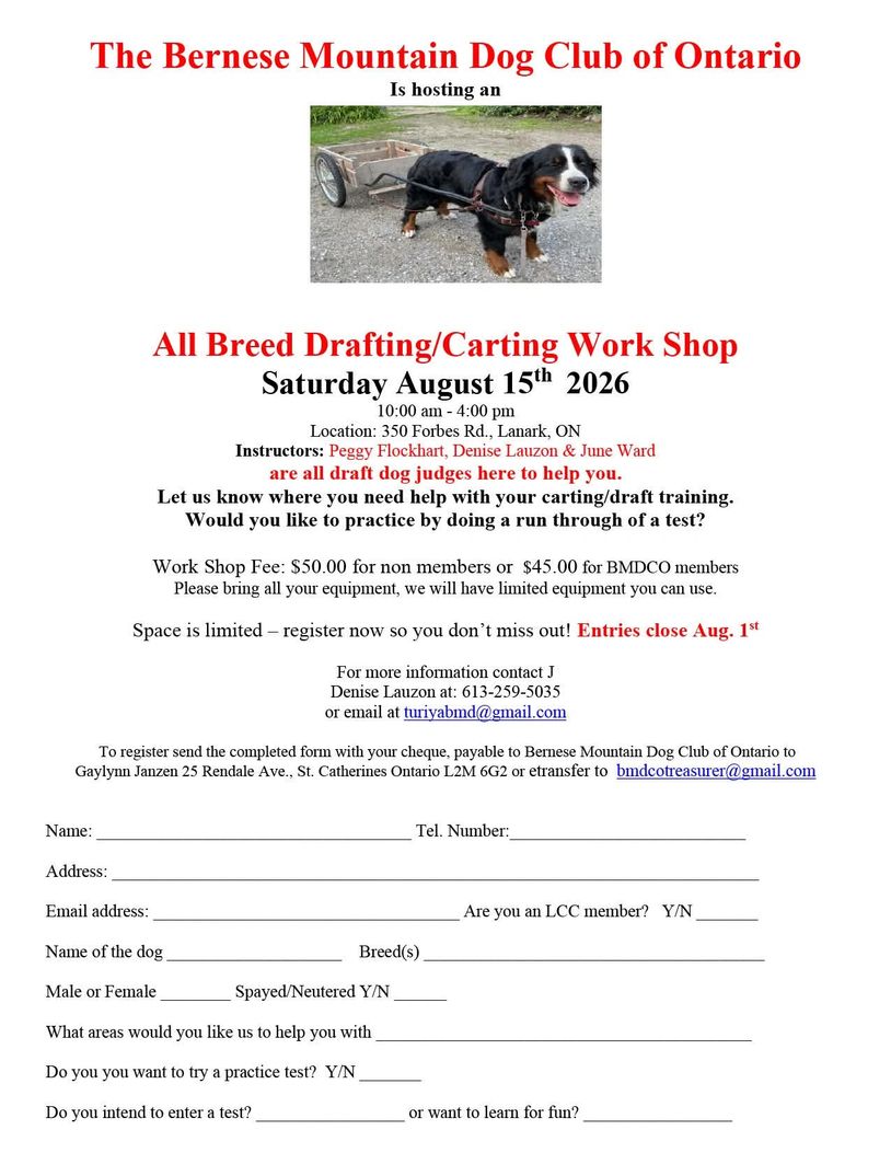 Bernese Mountain Dog Club hosts a drafting/carting workshop with expert judges on August 15, 2026.
