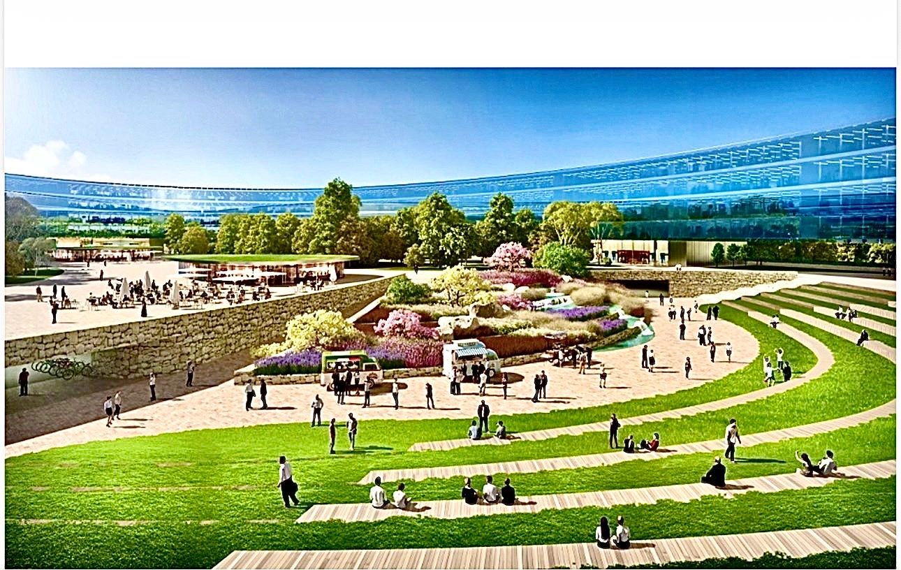 Outdoor amphitheater with people enjoying a sunny day and seating on grass steps.