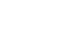 AP Handyman LLC
