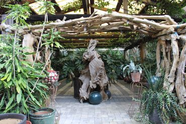Plant oasis