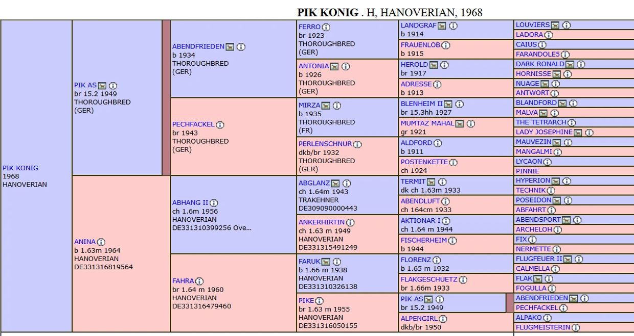 Pedigree chart of Pik Konig, a Hanoverian horse born in 1968.