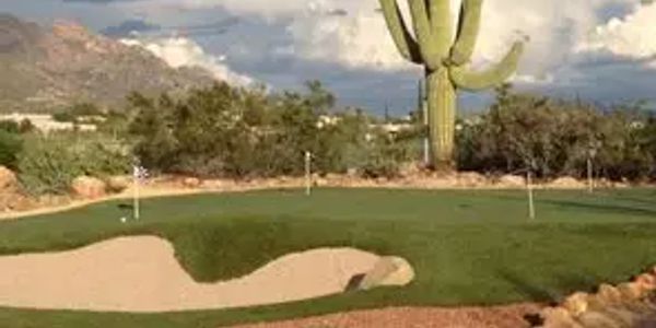 Golf course with desert surroundings and cactus.