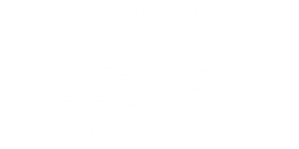 freedom bird apparel logo
