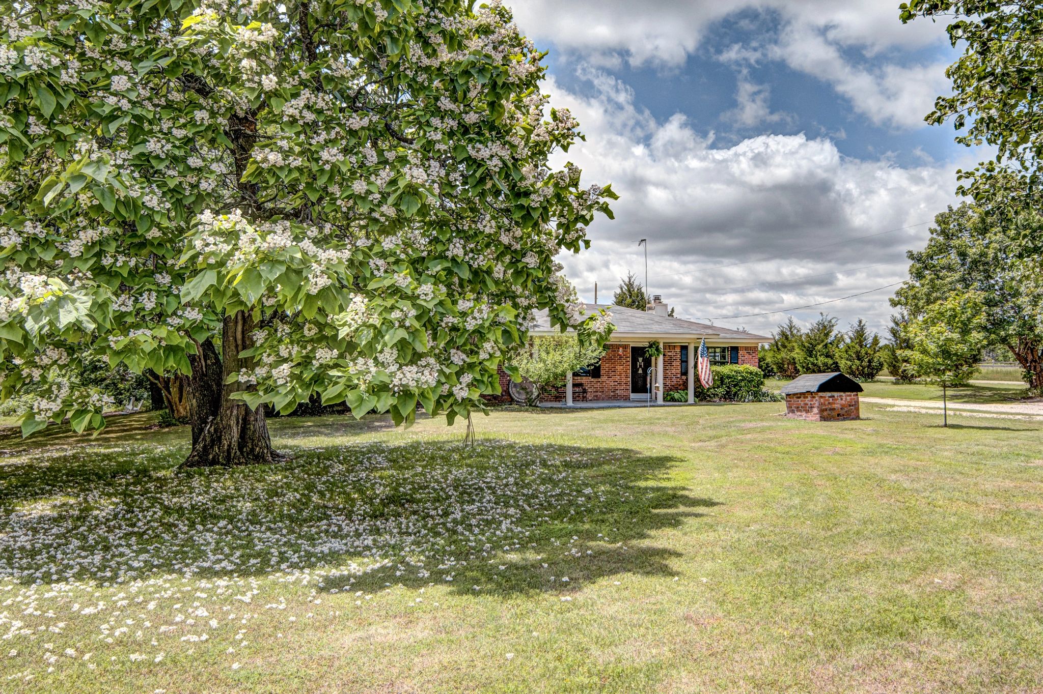 Brick house with blooming tree and American flag.