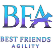 Best Friends Agility