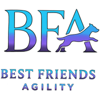 Best Friends Agility