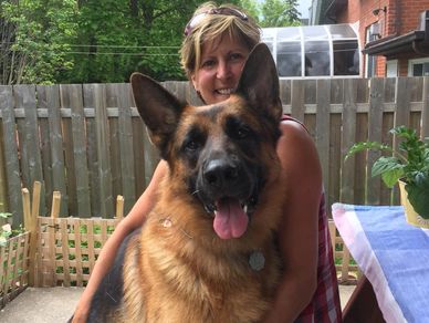 German Shepherd dog with woman