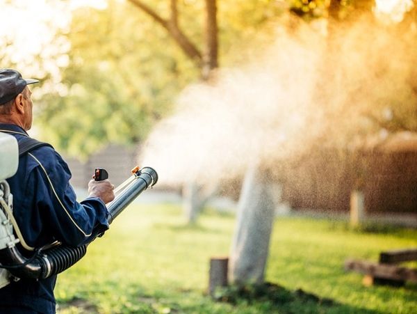 Mosquito barrier spray in sun