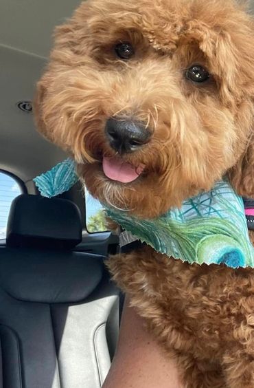 Charlee from Boca/Bear