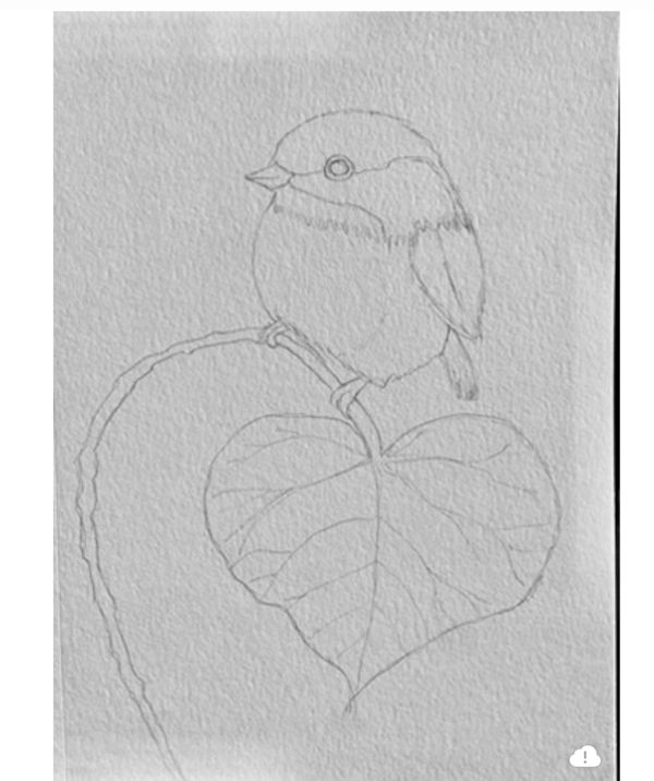 Pencil sketch of a small bird perched on a heart-shaped leaf.