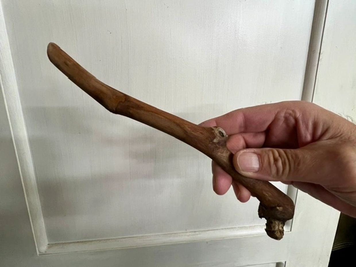 Hand holding a uniquely shaped stick.