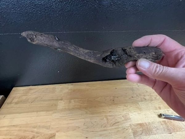 Person holding a piece of charred wood.