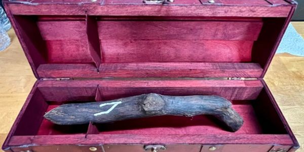 A rustic wooden stick with a white symbol inside a red velvet-lined wooden box.