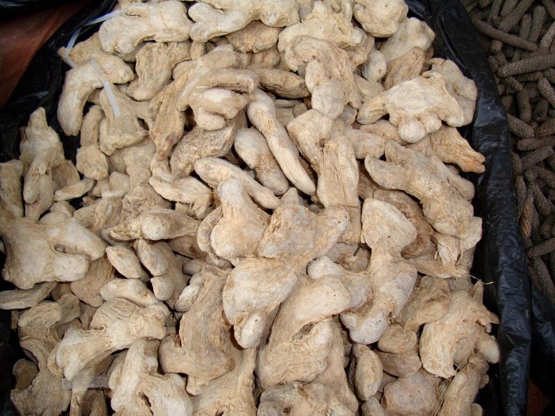 Aduwa.JPG